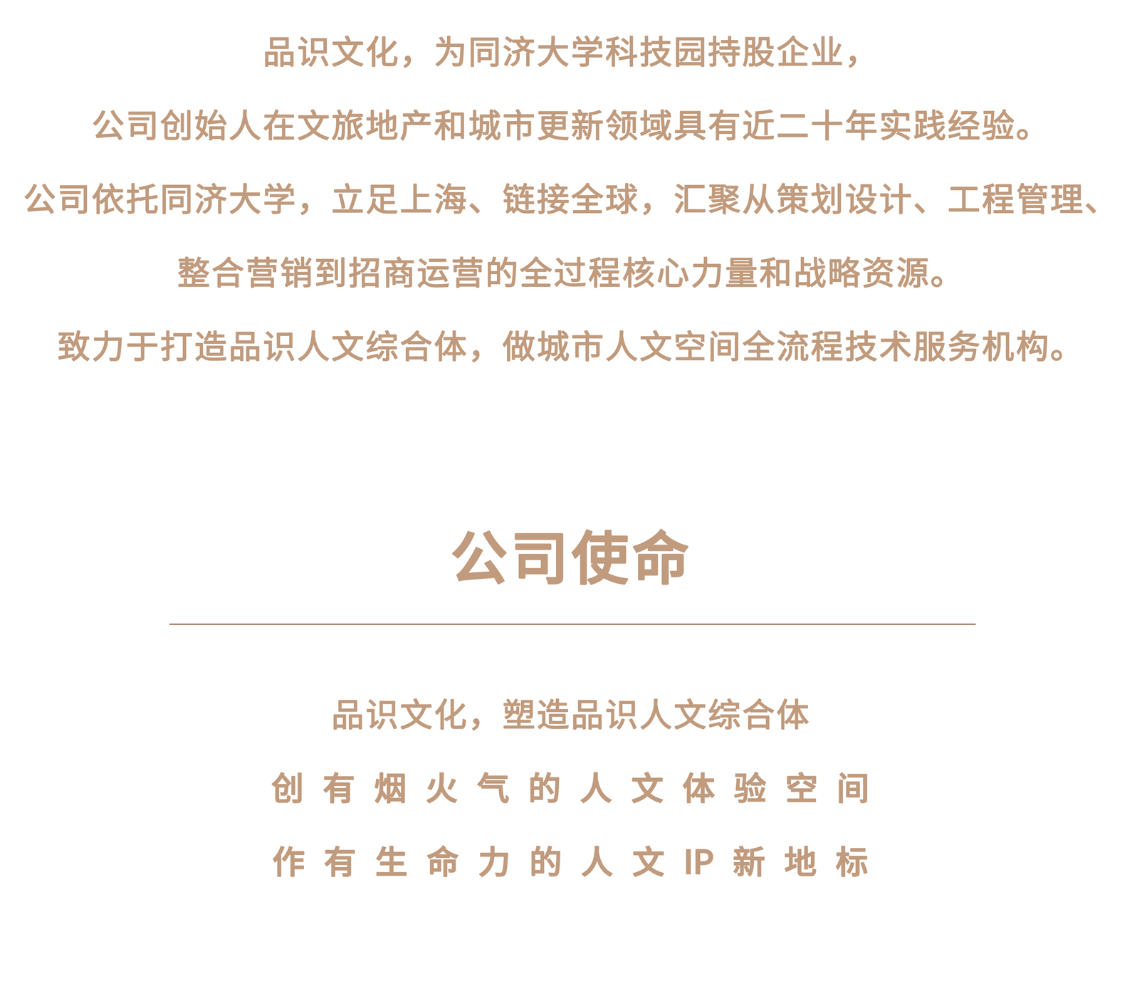 公司简介的副本_05.png