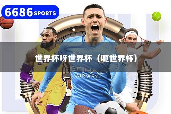 世界杯呀世界杯（呃世界杯）