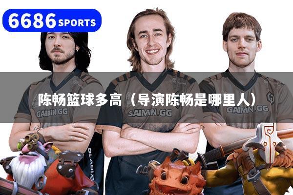 陈畅篮球多高(导演陈畅是哪里人)